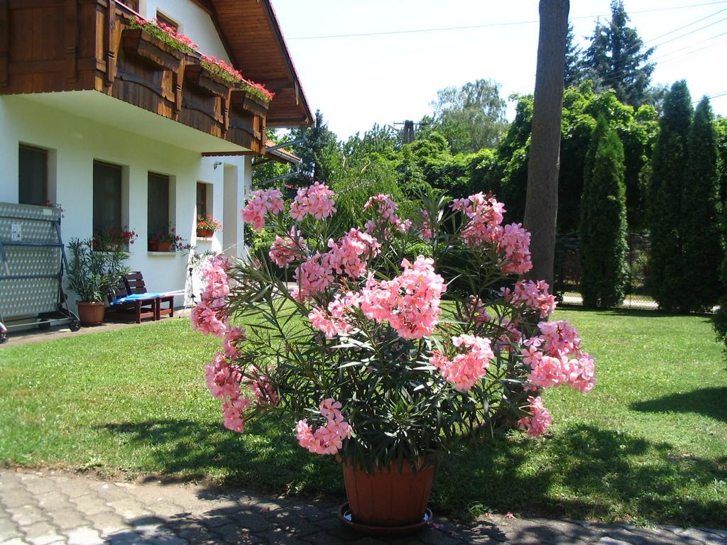 Sommer Panzio Balatonföldvár Esterno foto