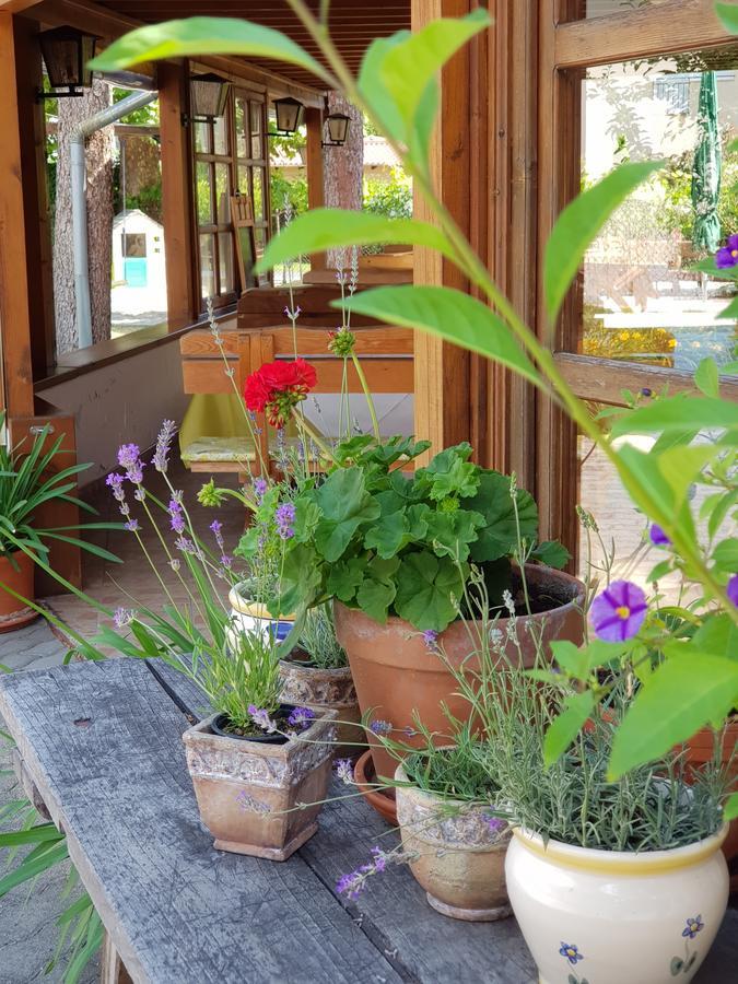 Sommer Panzio Balatonföldvár Esterno foto